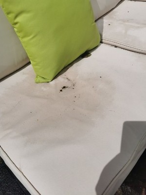 Artikelfoto(s) von einem verifizierten Käufer