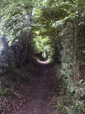Photo 6x4 Near Hethersett Hall This path forms part of the Upper Tas Vall c2005