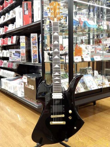 Fernandes Mg 80x Hide X Japan Artist Model Guitar For Sale Online Ebay