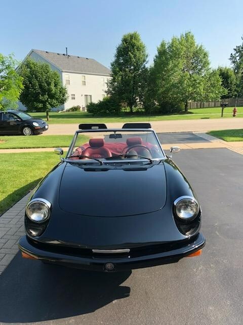 Owner 1979 Alfa Romeo Spider Veloce.  Black with maroon  interior