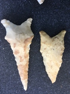 ozark arrowhead collection Hathcock/Wallace 16 arrowheads