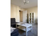 Recently renovated ground floor 1- bedroom flat is now available for rent!