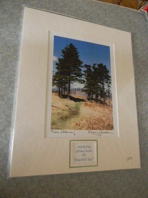 Garry Prosser OYSTER RIVER STUDIOS Photographic Print Pines & Pathways - Signed