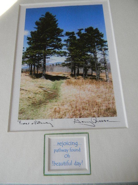 Garry Prosser OYSTER RIVER STUDIOS Photographic Print Pines & Pathways - Signed