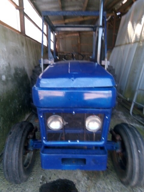 Leyland 384 | in Ballinderry Upper, County Antrim | Gumtree