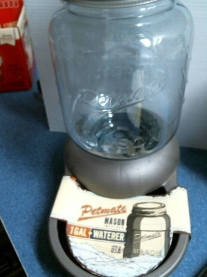 Petmate mason inspired hotsell waterer 4 gallon