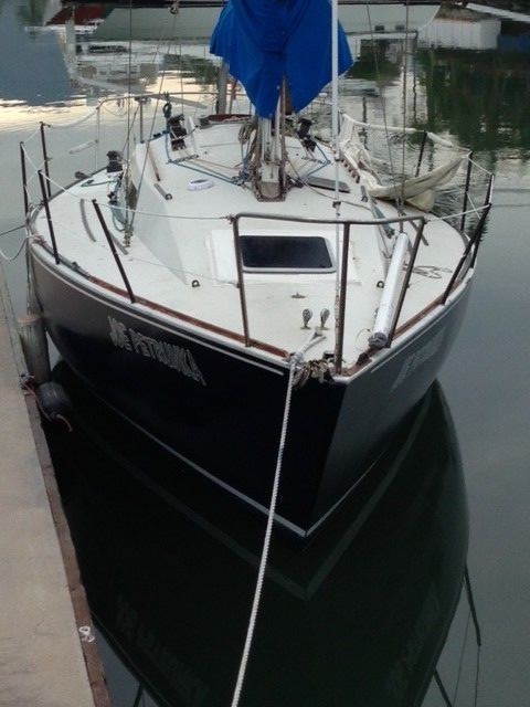 SAILBOAT WYLIE 34