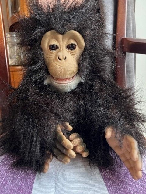 Tiger hotsell cuddle chimp