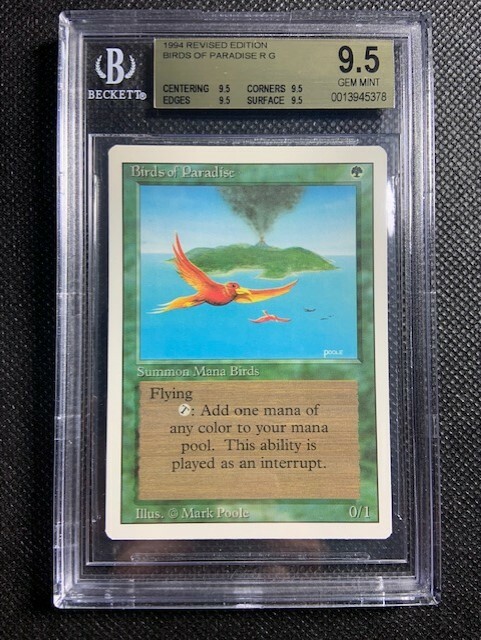 MTG 思考囲い 英語版 FOIL 初版 PSA9 MINT ローウィン MTG 思考囲い 英語版 FOIL 初版 PSA9 MINT ローウィン マジック
