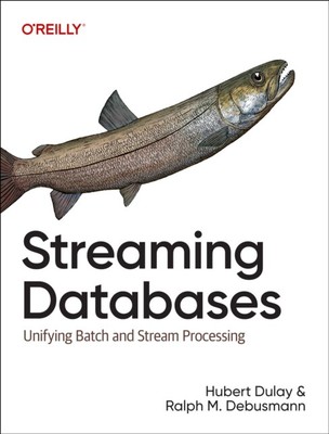 Raplh Matthias Debus - Streaming Databases   Building Real-Time, User - S9000z