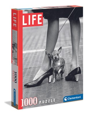 Puzzle 1000 elementów. Life Collection. Chihuahua