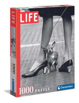 Puzzle 1000 elementów. Life Collection. Chihuahua