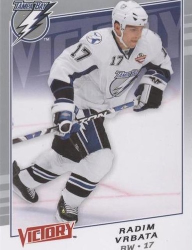 2008-09 Upper Deck Victory - Radim Vrbata #291