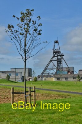 Photo 6x4 Regeneration of the Mine Site The target next is South Crofty I c2012