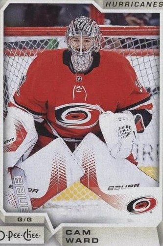 2018-19 O-Pee-Chee - Cam Ward #391