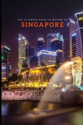 Partridge - Ultimate Guide To Moving To Singapore - New paperback or s - X555z