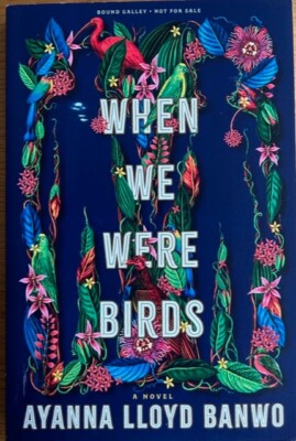 WHEN WE WERE BIRDS ~ AYANNA LLOYD BANWO ~ SOFT COVER ~ NEW