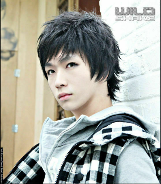 Handsome Boys Wig New Korean Fashion Short Men S Black Hair