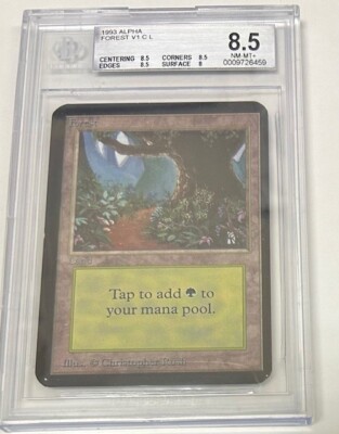 MTG Magic the Gathering ALPHA Black Border Land Forest Green Graded BGS 8.5