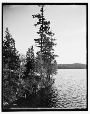 Photo:[Lower St. Regis Lake, Adirondack Mts., N.Y.]