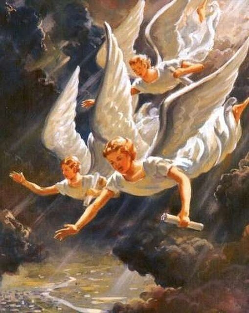 Homecomings / see you, frail angel 〜 Amazon.com: see you, frail angel. sea adore you
