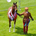 cwmcoedlan0710