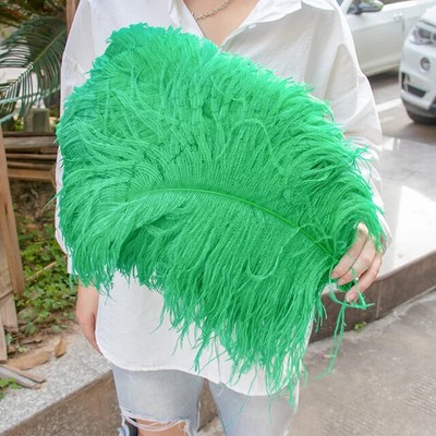 10PCS Ins Classic Feathers Natural Feather for Wedding Party Decor Plumes