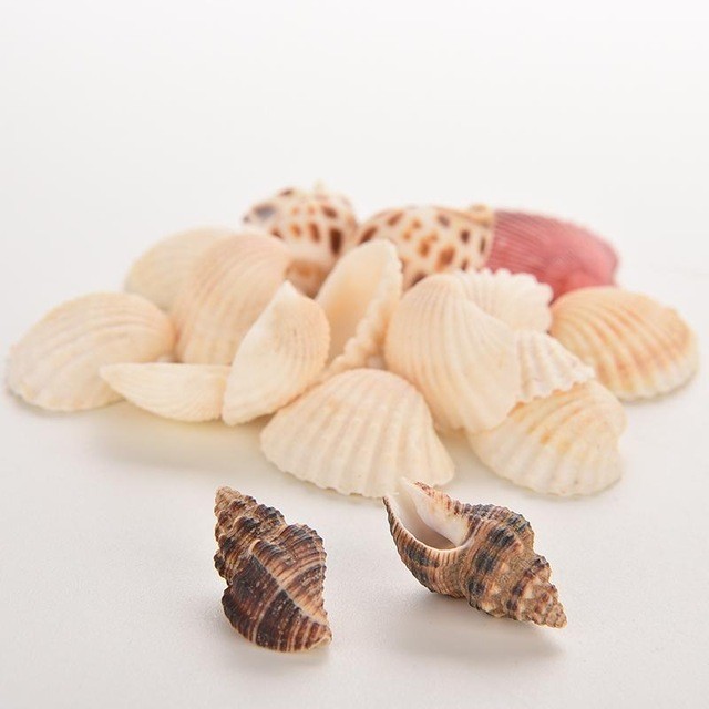 Sacchetto Confezione Da 70gr Conchiglie Di Mare Miste Decorazione Acquario dfh