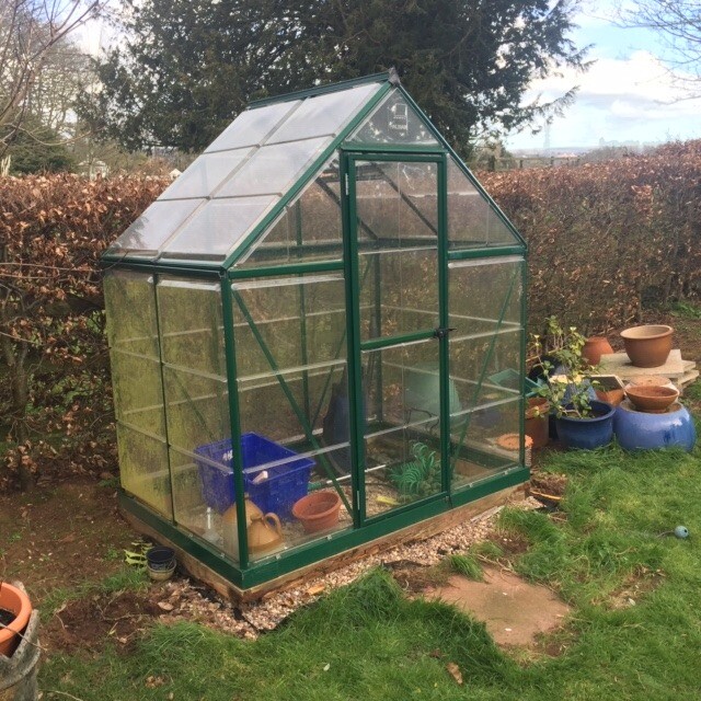 Greenhouse 6ft x 4ft in Exeter, Devon Gumtree