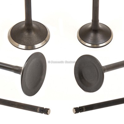 Head Gasket Set Intake Exhaust Valves Fit 05-07 Honda Odyssey 3.5L