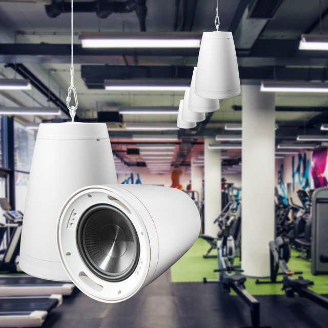 8" Hanging Subwoofer 300W, 4Ohm/70V Switchable Taps, Outdoor IP66 Rated, White