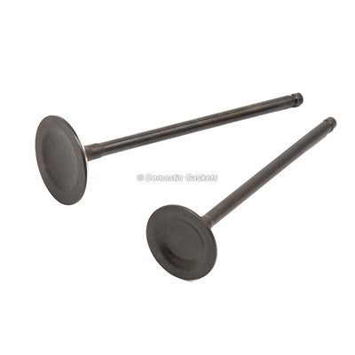 Head Gasket Set Intake Exhaust Valves Fit 05-07 Honda Odyssey 3.5L