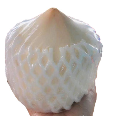 Fresh Young Coconut Box Case of 1-8 Hydrating Electrolyte TROPICAL FRUIT NON-GMO
