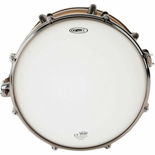 OCDP NAMM show 14×6.5 s-l1200.jpg