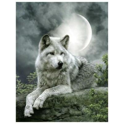 Diamond Painting 5D DIY Project White Wolf Moon Cloudy Night Nature 25cm x 20cm