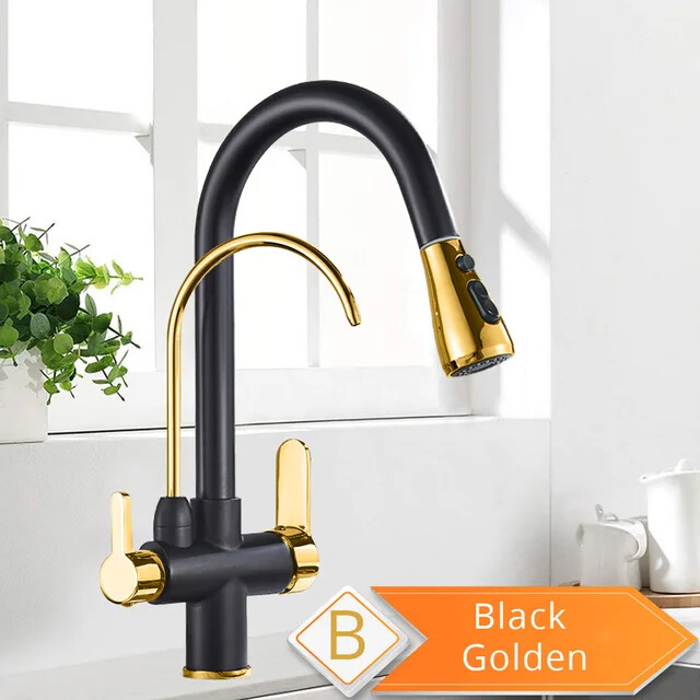 Black and Golden Filtered Crane for Kitchen Pull Out Sprayer Drinking Water Thre
