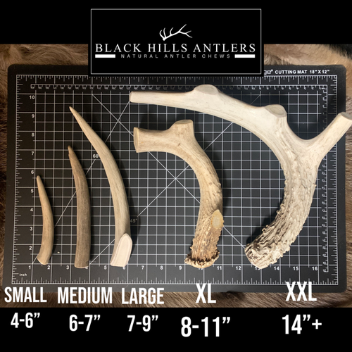 Small Premium Deer Antler Dog Chew 4 packs