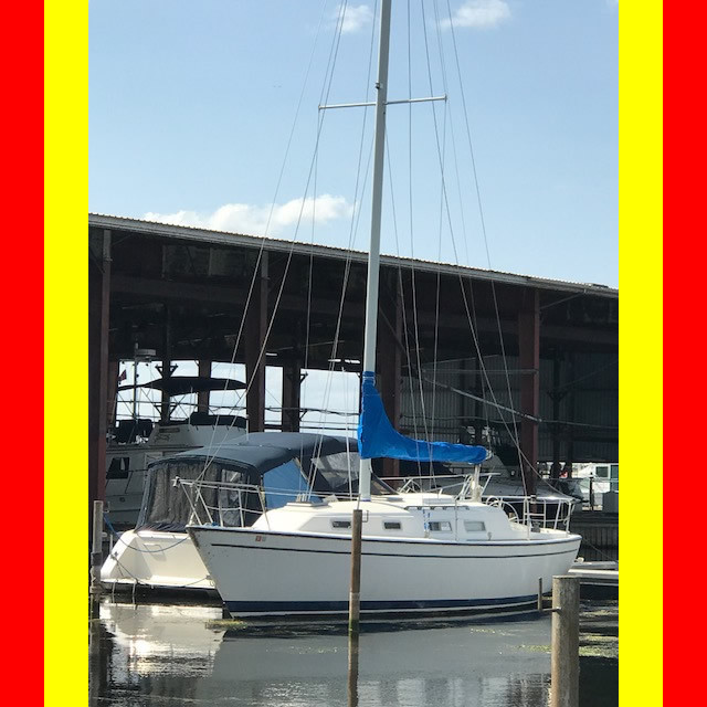 NO RESERVE 1982 Pearson 303 sailboat FRESH WATER boat all its life Yanmar Diesel