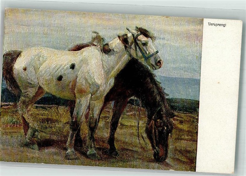 39901510 - Versprengt Sign. Max Josef Becker Novitas Verlag 323 Pferd