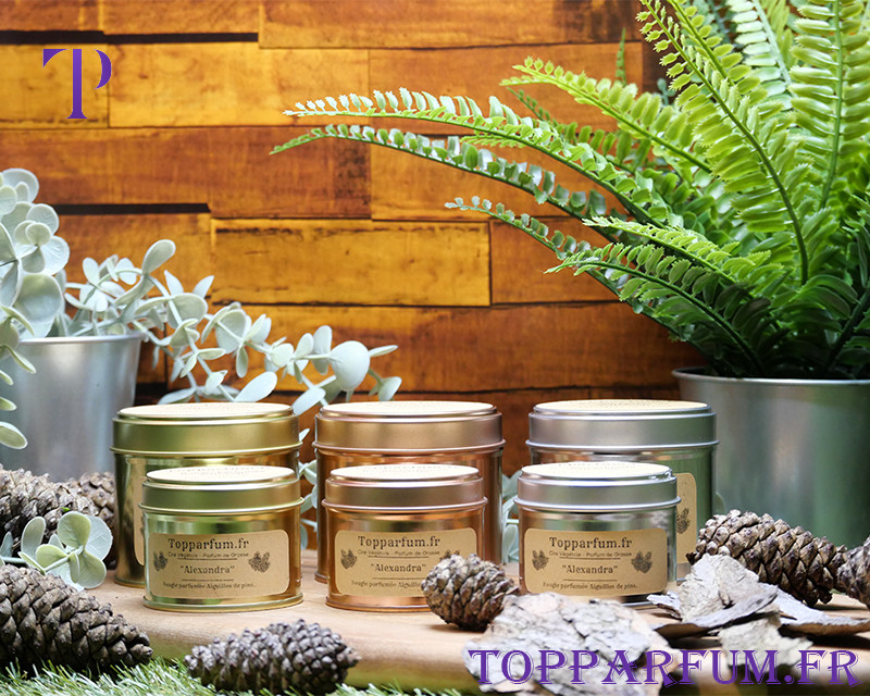 Bougies ParfumÃ©Es Alexandra