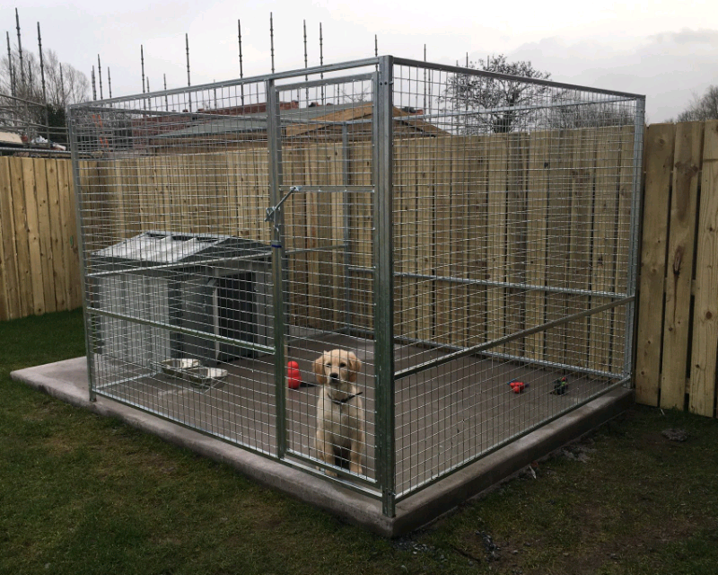 Galvanised mesh panel Dog pens and cages in Armagh, County Armagh