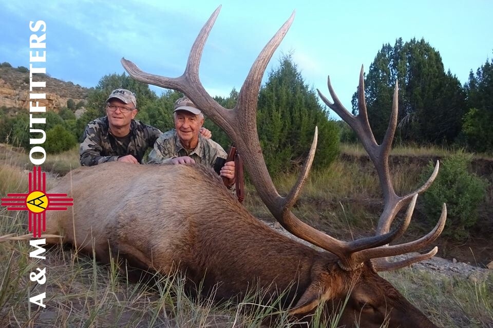 Guided Trophy New Mexico Elk Hunt