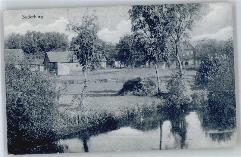 50822732 - 3113 Suderburg