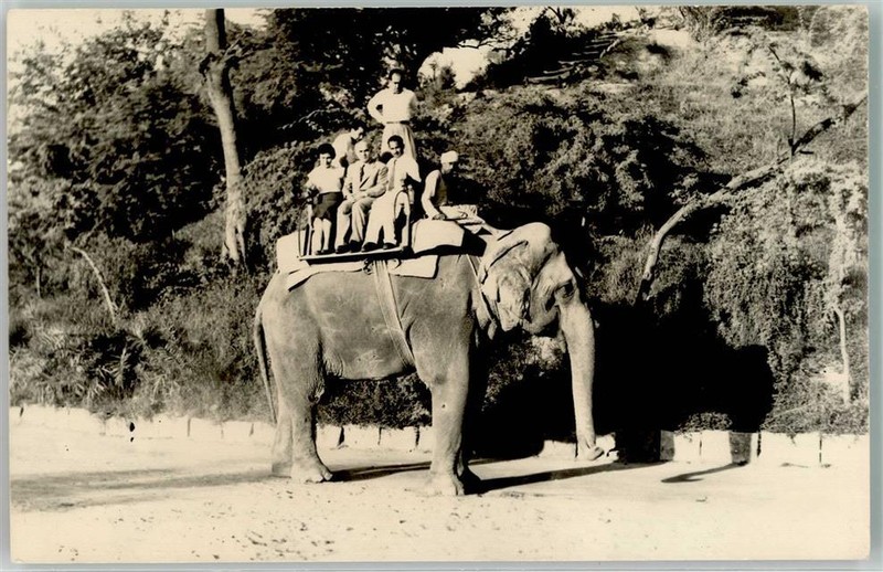10668401 - Karatschi Elefant Riding In Zoo Elefanten 1959