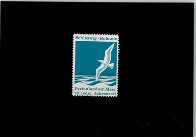 52000225 - Vignette