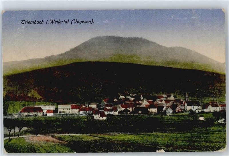 50412447 - Triembach-Au-Val  SÃ©Lestat-Erstein