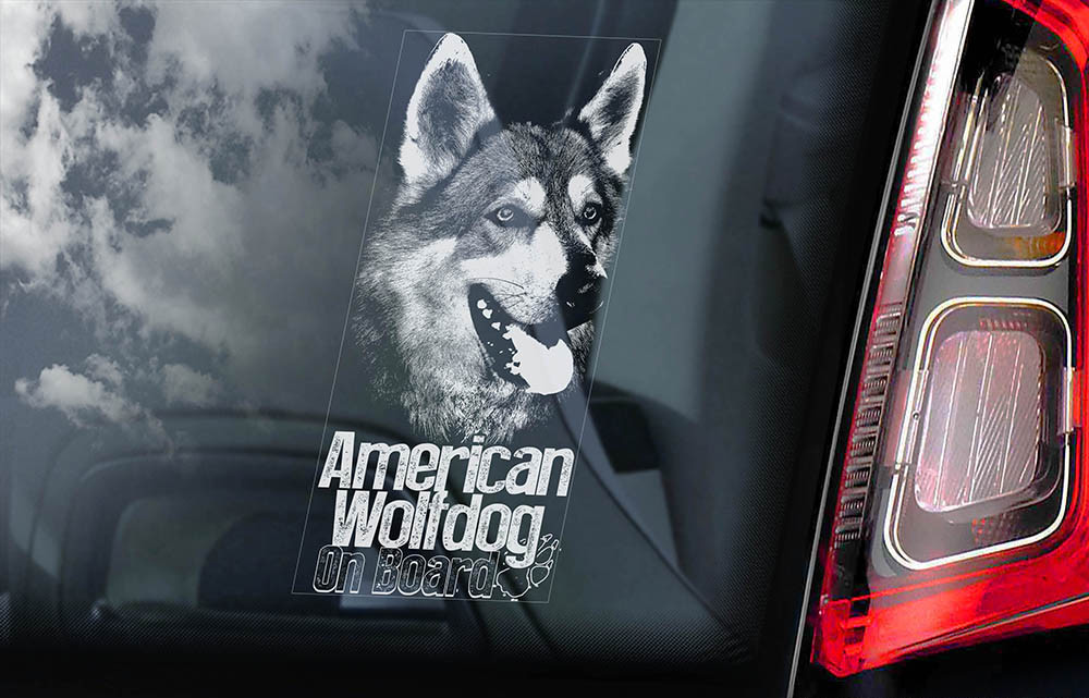 Car Window Sticker Wolf Saarloos Dog Sign Decal V1 American Wolfdog on Board