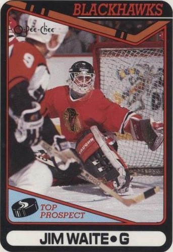 1990-91 O-Pee-Chee - Jimmy Waite #214