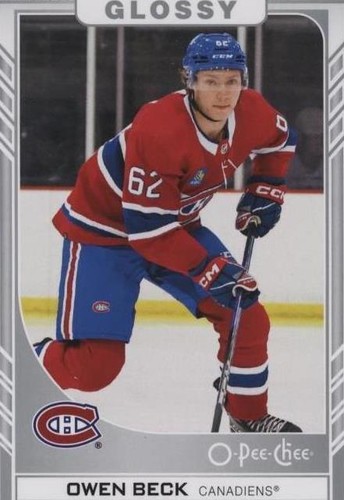 2023-24 Upper Deck Series 2 - Owen Beck #R-29