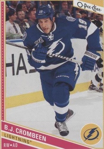 2013-14 O-Pee-Chee - B.J. Crombeen #300